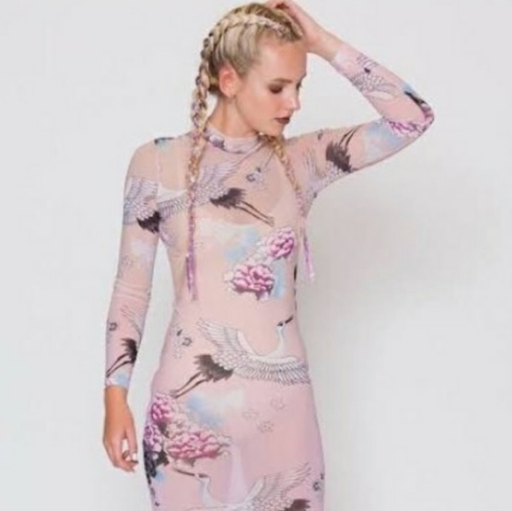 COPY - Jaded London Ombre Crane Mesh Mini Dress